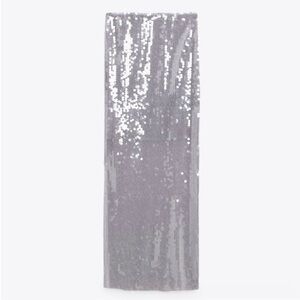 Zara Sequin Skirt (Size Large)